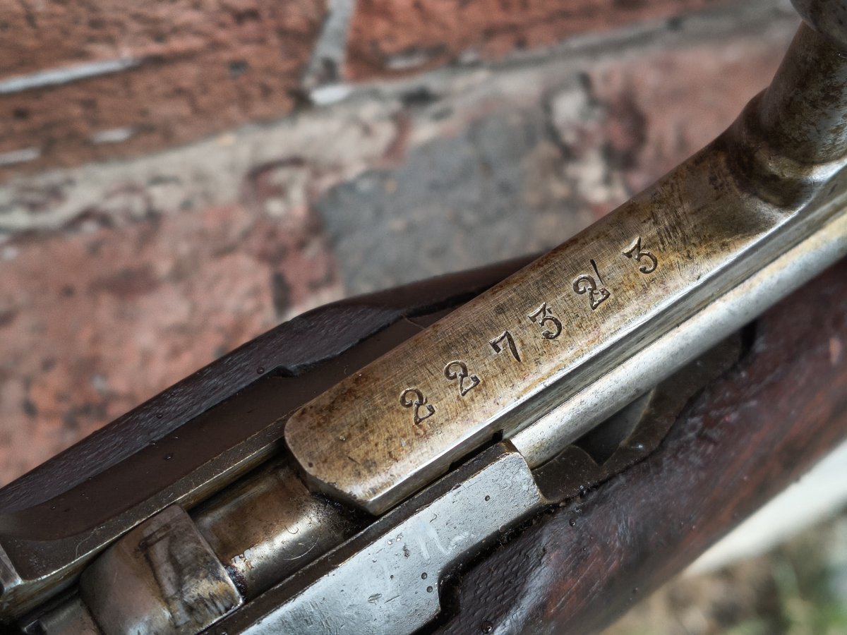 Mosin 1891 Remington 1917r 7,62x53r